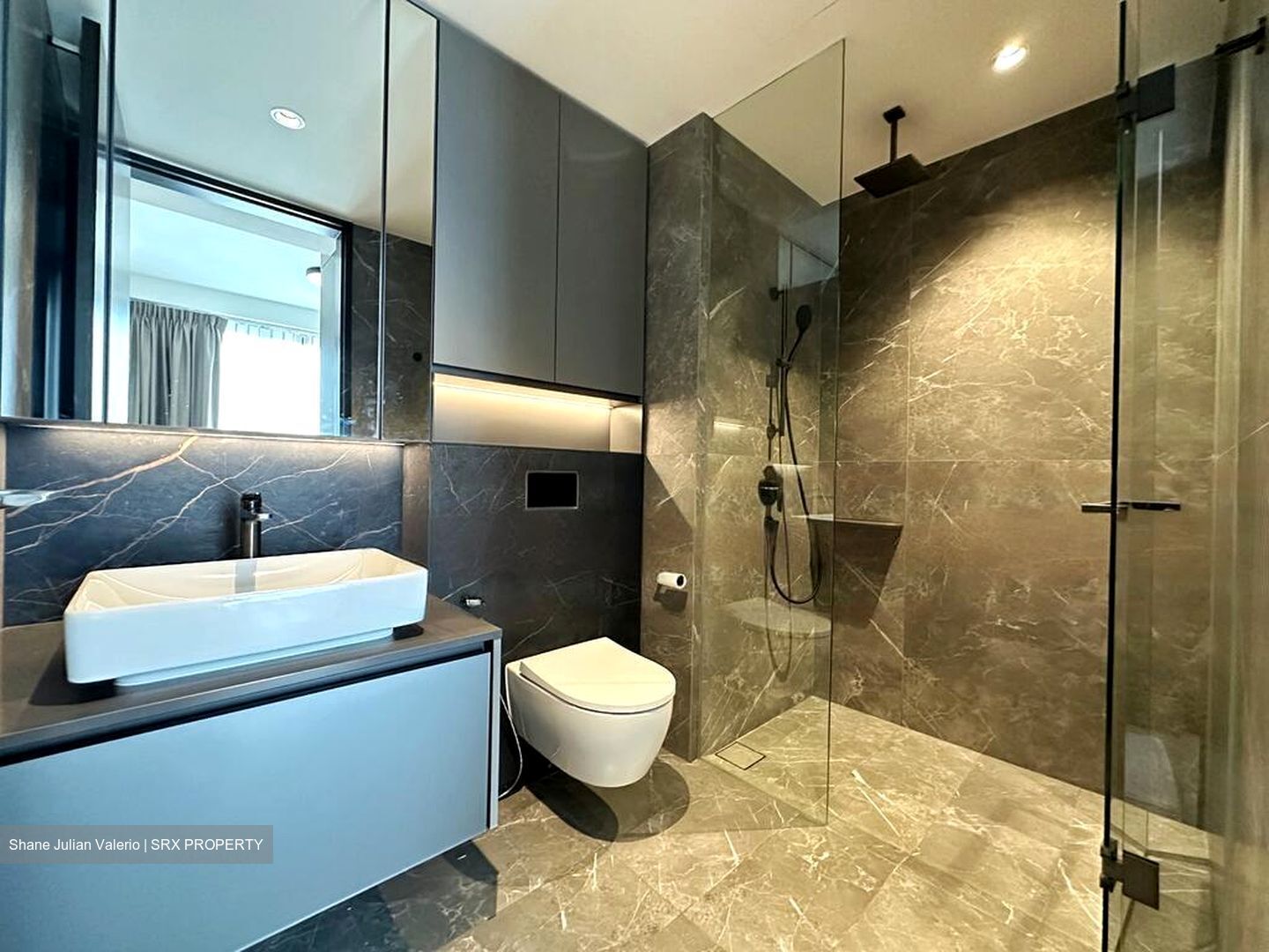 Irwell Hill Residences (D9), Apartment #610572971